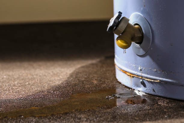 Best Flooded house restoration  in Faison, NC