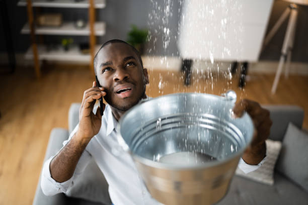 Best 24/7 water damage repair  in Faison, NC