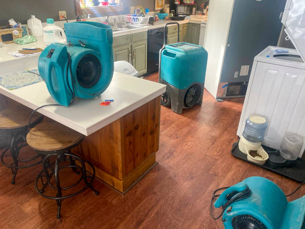 Best Water damage mitigation services  in Faison, NC