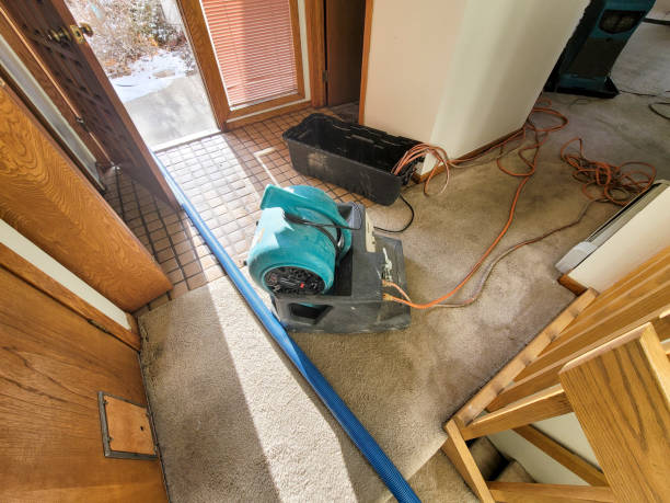 Best Fire Damage Restoration  in Faison, NC