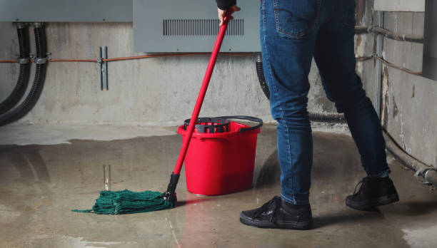Best Basement water damage restoration  in Faison, NC