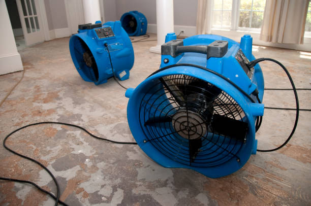  Faison, NC Water damage restoration Pros