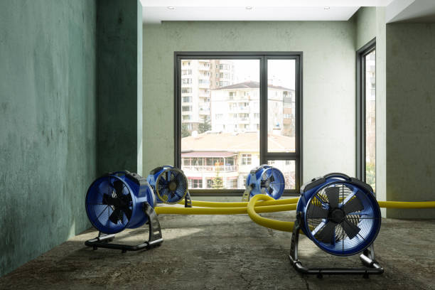 Best Sewage cleanup and water damage restoration  in Faison, NC